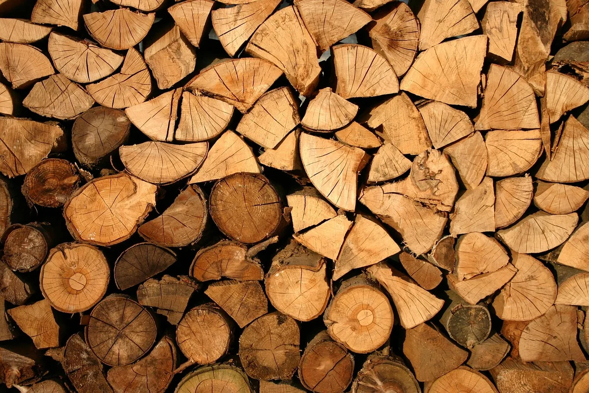 Outils essentiels : ce qu'il faut vraiment avoir